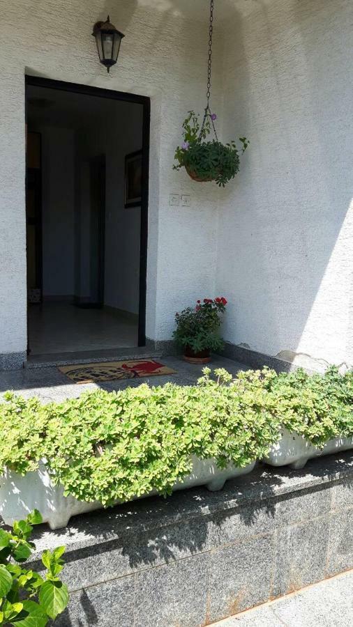 App Bajic Lägenhet Umag Exteriör bild